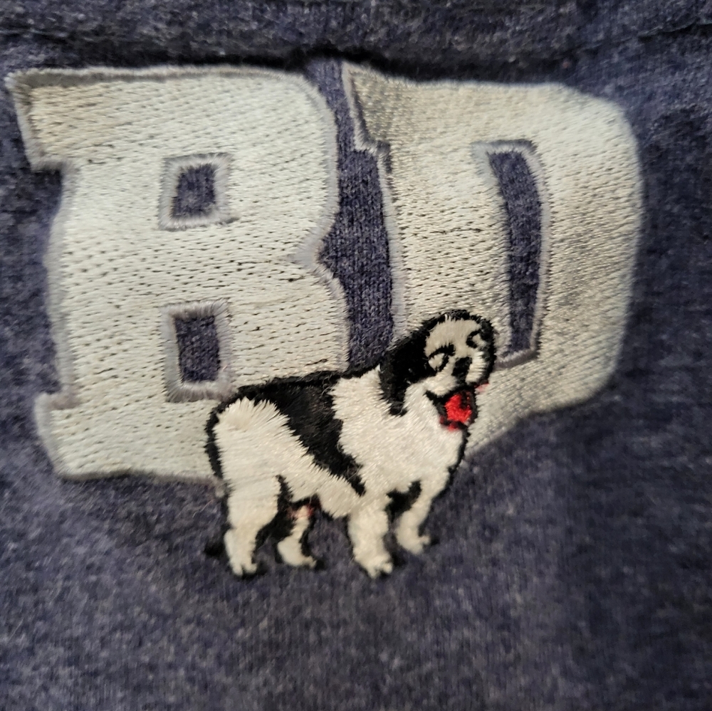 Vintage bigdogs tshirt